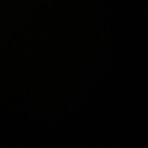 Meet your Posher, Martha